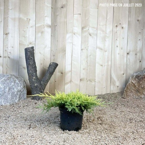 Destockage & Invendus