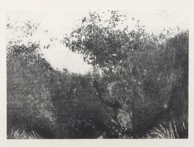 photographie en noir et blanc d'un arbre au milieu d'un champ