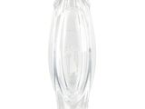 un vase en verre transparent orné d'un motif