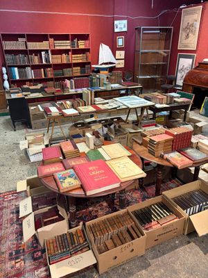 un grand nombre de livres posés sur le sol
