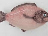 a pink fish that is sitting on a white surface