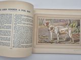 an open book with a picture of a dog on it