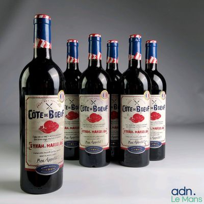 six bouteilles de vin rouge sont alignées