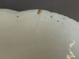 a white bowl with a brown spot on it
