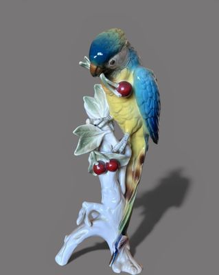 un oiseau bleu et jaune perché sur une branche d'arbre