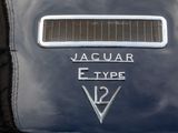 a close up of the emblem on a classic car