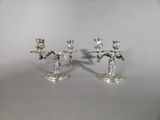 Photo 2/5 du lot