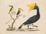 trois oiseaux perchés sur une branche d'arbre