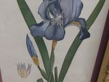 painting of a blue iris in a gold frame on a table