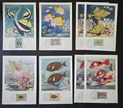 six cartes postales représentant différents types de poissons sur un fond noir