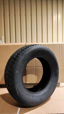 NANKANG - Pneu hiver - WINTER ACTIVA SV-55 - 255/65R17 114H …
