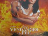 une affiche du film « Les vendanges de feu »