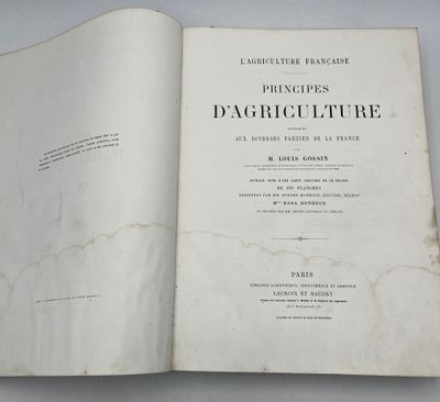 a book open to a page with a picture of a dog