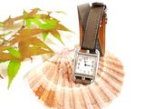 a watch sitting on top of a shell with a leaf in the background