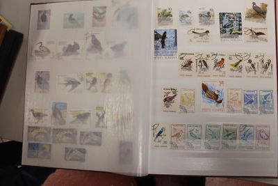 3 classeurs dont thématique oiseaux