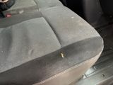 a small bug that is sitting in the back seat of a car