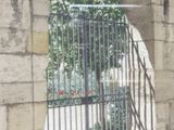 Photo 2/8 du lot
