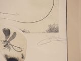 a picture of a drawing of a dragonfly on a piece of paper