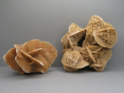 Deux roses des sables. Dimensions 5 x 8 x 10 et 5 x 11 x 9 cm