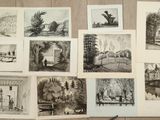 several black and white pictures of a bunch of trees on a table