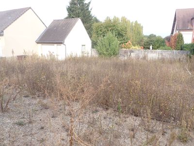 deux maisons à l'arrière-plan et un champ envahi par les mauvaises herbes au premier plan