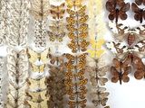 a lot of butterflies that are on display in a box