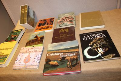 Ensemble de treize livres : Quatre sur la chasse, Cinq diver…