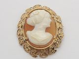 a close up of a broochee of a woman ' s profile in a gold frame