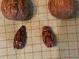 trois morceaux de bois sculptés pour ressembler à un cerveau