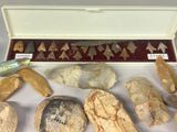 a lot of different types of rocks in a box