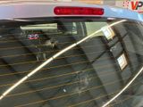 a cat that is sitting in the back of a car
