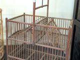 a bird cage with a bird inside of it on a table