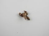 a small insect that is sitting on top of a white surface