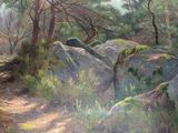 a painting of a path in the woods with rocks