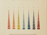 un vieux livre sur lequel figurent plein d'arbres de différentes couleurs