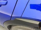a close up of a blue car with a dog on it