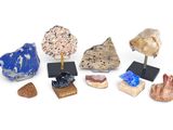 a group of different types of rocks on display on a white surface
