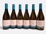 six bouteilles de vin sont alignées sur une surface blanche