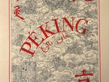 an image of a book with chinese writing on the cover