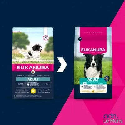 Alimentation Eukanuba pour chiens adultes de grande race