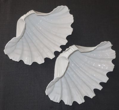 deux coquillages blancs posés sur une surface noire