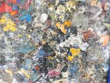a close up of a painting with many colors on it