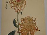 an image of a painting of two flowers on a wall