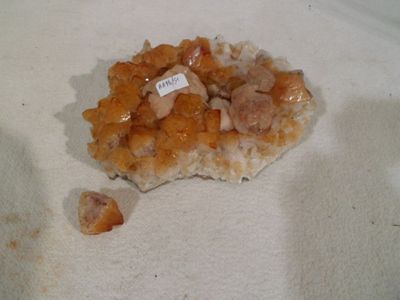 a piece of food that has been left on the table