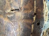 a close up view of a piece of wood with holes in it