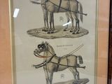 a picture of a horse drawn carriage with a man on it