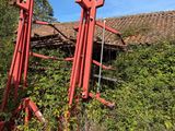 a red crane that is sitting in the grass