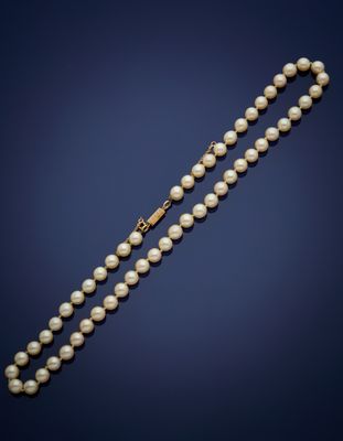 a pearl necklace with a gold clasp on a blue background