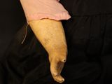 a doll that is wearing a pink shirt and black pants