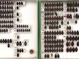 two pictures of a display case filled with different types of hair